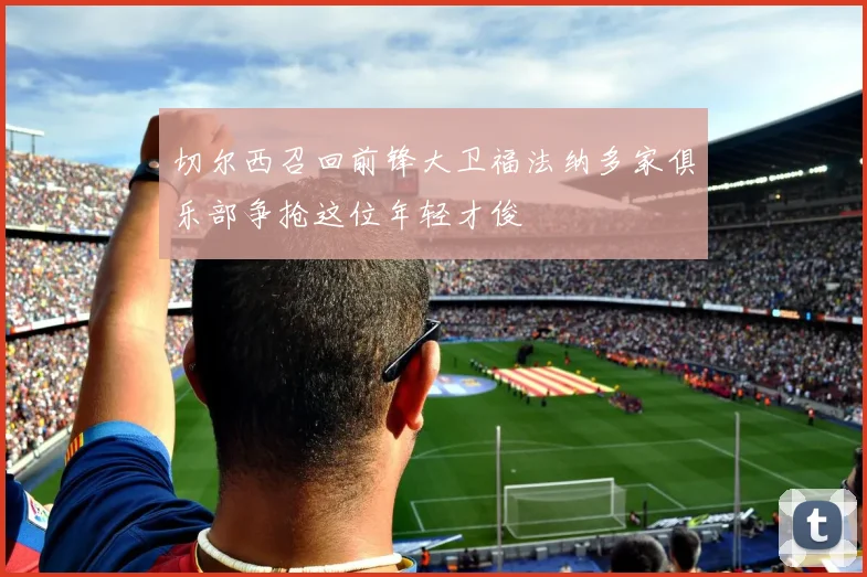 切尔西召回前锋大卫福法纳多家俱乐部争抢这位年轻才俊