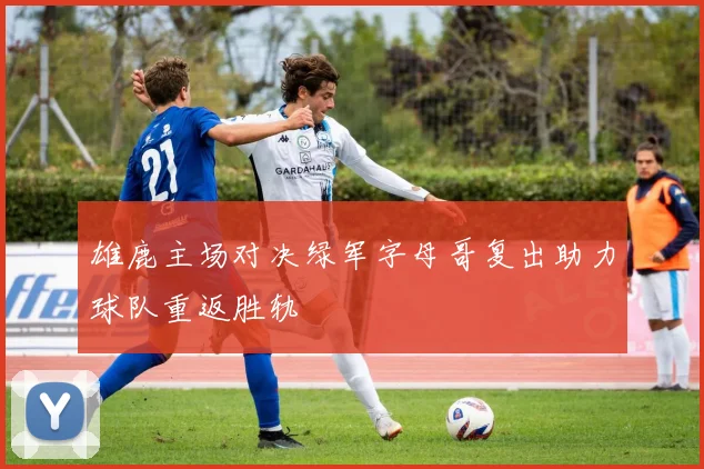 雄鹿主场对决绿军字母哥复出助力球队重返胜轨