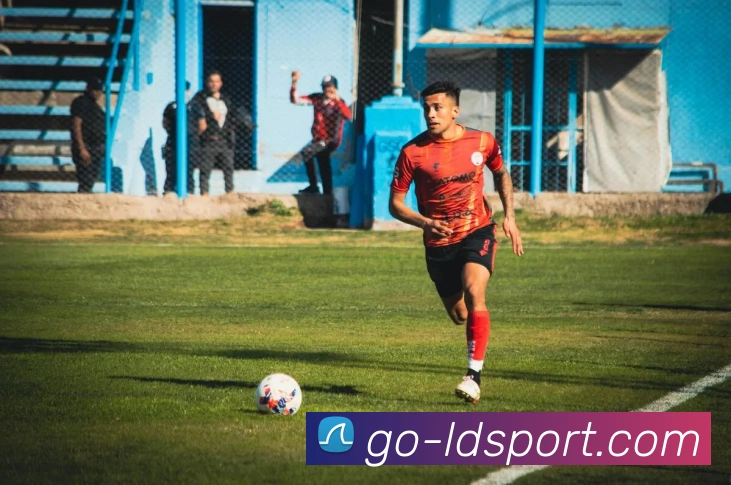 乐动体育平台生态图