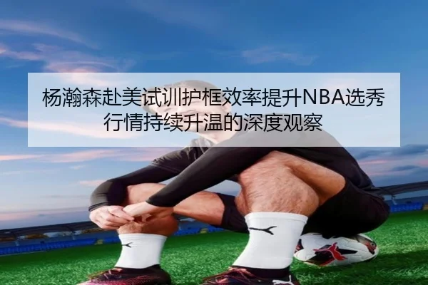 杨瀚森赴美试训护框效率提升NBA选秀行情持续升温的深度观察（LDSPORTS）