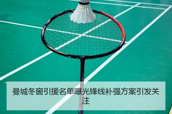 曼城冬窗引援名单曝光锋线补强方案引发关注 - LDSPORTS